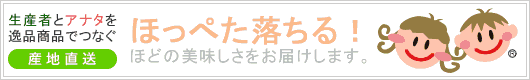 iwakitelework
